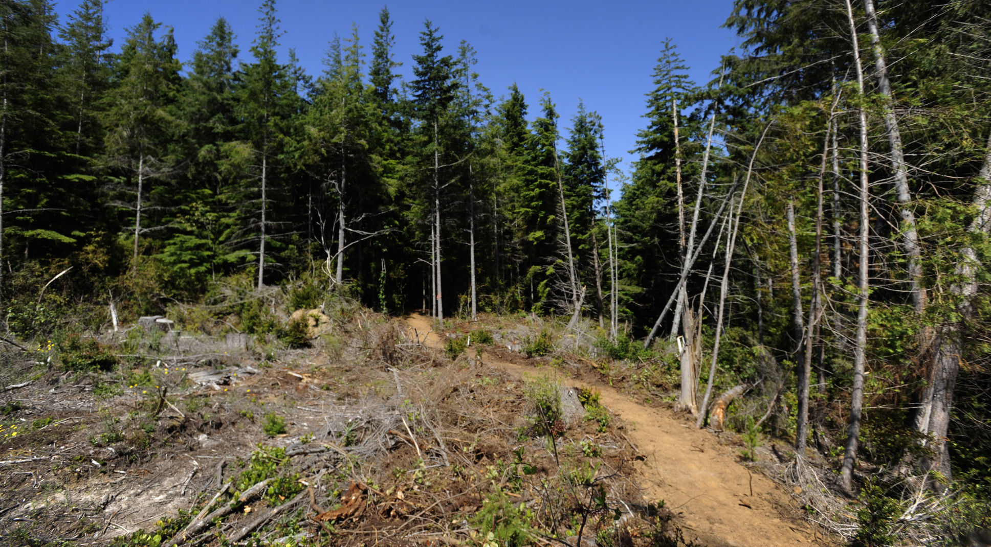 11-mile nonmotorized trail under construction